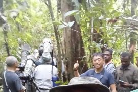 HPI dukung upaya pemerintah hadirkan penerbangan Sorong-China