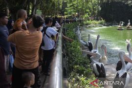 Taman Margasatwa Ragunan siapkan kantong parkir saat libur