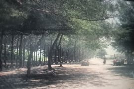 Pemkab Pasaman Barat sebut Pantai Sasak siap sambut pengunjung Lebaran