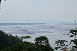 Cirata floating solar power plant: Indonesia's green energy milestone