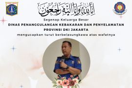 Petugas damkar meninggal usai padamkan kebakaran di di Jakarta