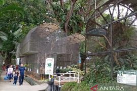 Keasrian lingkungan di THPS bikin pengunjung betah