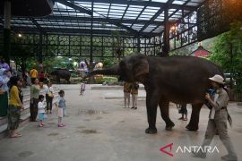 Kiat wisata aman dan nyaman selama libur Lebaran