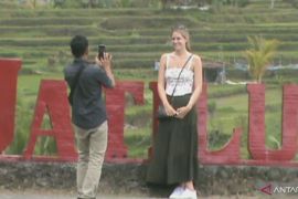 Lebaran, 1.300 wisatawan kunjungi Jatiluwih Tabanan Bali