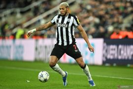 Liga Inggris: Newcastle naik ke peringkat enam setelah hajar Burnley 4-1