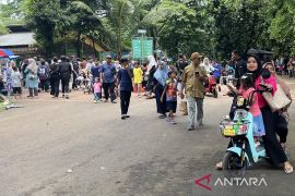 Ulang tahun Gorila Komo Ragunan dirayakan bertepatan libur Lebaran