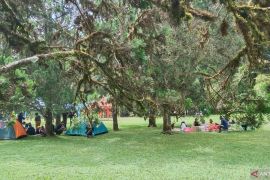 Kebun Raya Bali hadirkan bazar kuliner guna ramaikan libur Lebaran