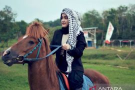 Wisata Alfatah Stable Balangan sediakan wahana berkuda hingga waterpark