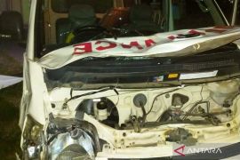 Satpol PP Mukomuko selidiki informasi kecelakaan akibat ternak