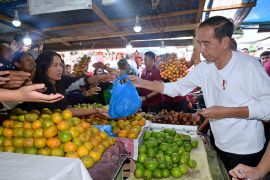 Presiden Jokowi belanja buah dan sayur di Pasar Buah Berastagi