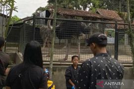 Taman Satwa Cikembulan di Garut diserbu pengunjung pada libur Lebaran