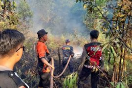 BMKG  Stasiun Balikpapan deteksi 225 titik panas tersebar di Kaltim