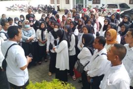 Guru P3K yang lulus seleksi datangi BKD Langkat