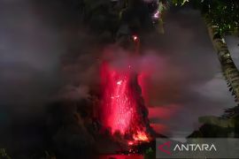 BNPB: 1.585 orang warga harus dievakuasi pasca-erupsi Gunung Ruang Sulut