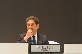 Dirjen IRENA sebut EBT bawa ketahanan lebih besar untuk energi global