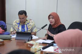 Percepat target penurunan stunting di Babel, Pj Ketua TP PKK pimpin rapat koordinasi dengan perangkat daerah