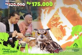 TSI Bogor kini sediakan paket kuliner di wahana Safari Malam