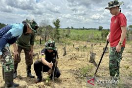 Korem 101/Ant gandeng petani kelola 500 hektare lahan ketahanan pangan