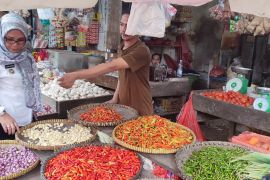 Babel tambah pasokan bawang 25 ton bawang
