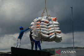 FOTO - Beras impor tiba di Aceh