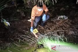Polisi selidiki kasus tewasnya pekerja di kebun kelapa sawit di Nagan Raya