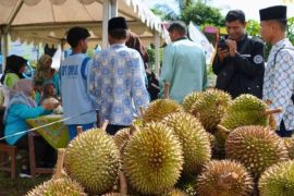Solok Selatan gelar lomba membuka durian tercepat