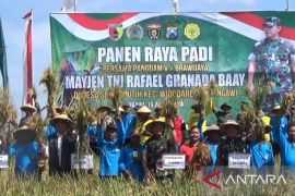 Kodam V/Brawijaya dukung pemda tingkatkan produksi padi di Jatim