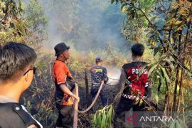 BMKG: 107 titik panas tersebar di Kaltim pada akhir pekan