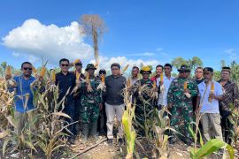 Pemprov Sulteng libatkan TNI bantu tingkatkan produktivitas KPN