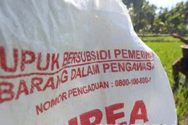 Kadis Pertanian Bulukumba ungkap otak penyelundupan pupuk urea