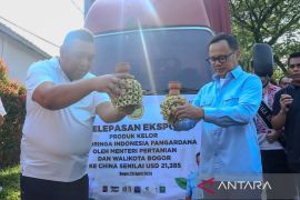 Kementan melepas ekspor produk perkebunan ke pasar Asia dan Eropa