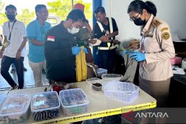 Karantina gagalkan penyelundupan 190 reptil dari Bandara Mopah Merauke