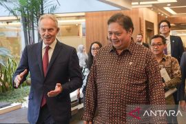 Airlangga bocorkan rencana Masdar bangun PLTS 1,2 GW di IKN