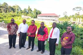 LL Dikti: Angka partisipasi anak Papua mengenyam pendidikan tinggi 11 persen