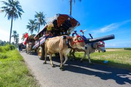 Pemkab Jember usulkan "Parade Pegon" jadi warisan budaya tak benda