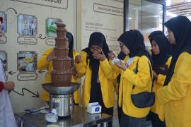 Belajar tanam kakao hingga pengolahannya di "Kampung Coklat"