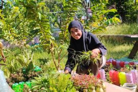 Siti Habibah eksis tanamkan perilaku cinta lingkungan bagi siswa didik
