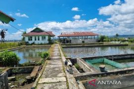 Distankan Rejang Lebong inventarisir kendala kembangkan BBI