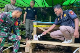 Polisi usut tambang emas ilegal diduga gunakan sianida