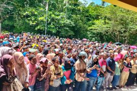 BKPSDM Sorsel: 3.733 orang mendaftar ikut seleksi CPNS