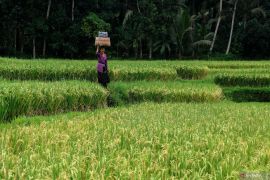 Kemenkominfo memastikan kesiapan jaringan 5G selama World Water Forum