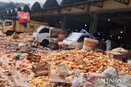 DKI kemarin, pedagang buang pepaya hingga PPK Pilkada Jakarta