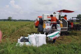 Densus 88 Polri deradikalisasi warga binaan napi terorisme dengan pertanian