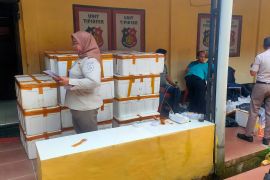 150.000 benih lobster tangkapan polisi segera dilepasliarkan ke perairan Sumbar