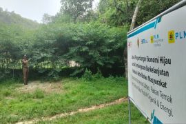 Warga Gunungkidul memanfaatkan ladang pakan ternak bantuan EPI