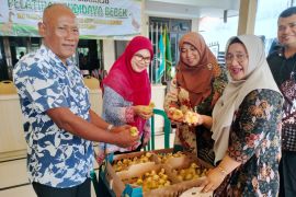 Pemkab Sidoarjo beri pelatihan budi daya peking