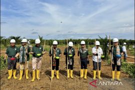 Pemerintah ciptakan ekonomi baru lewat peremajaan sawit rakyat