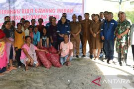 SOL dampingi dua Poktan tanam bawang merah hingga panen hasil