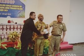 Dinkes Biak Numfor tambah tiga distrik eliminasi malaria pada 2024