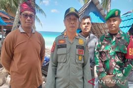 BKSDA Baubau lepasliarkan penyu hijau ke alam bebas
